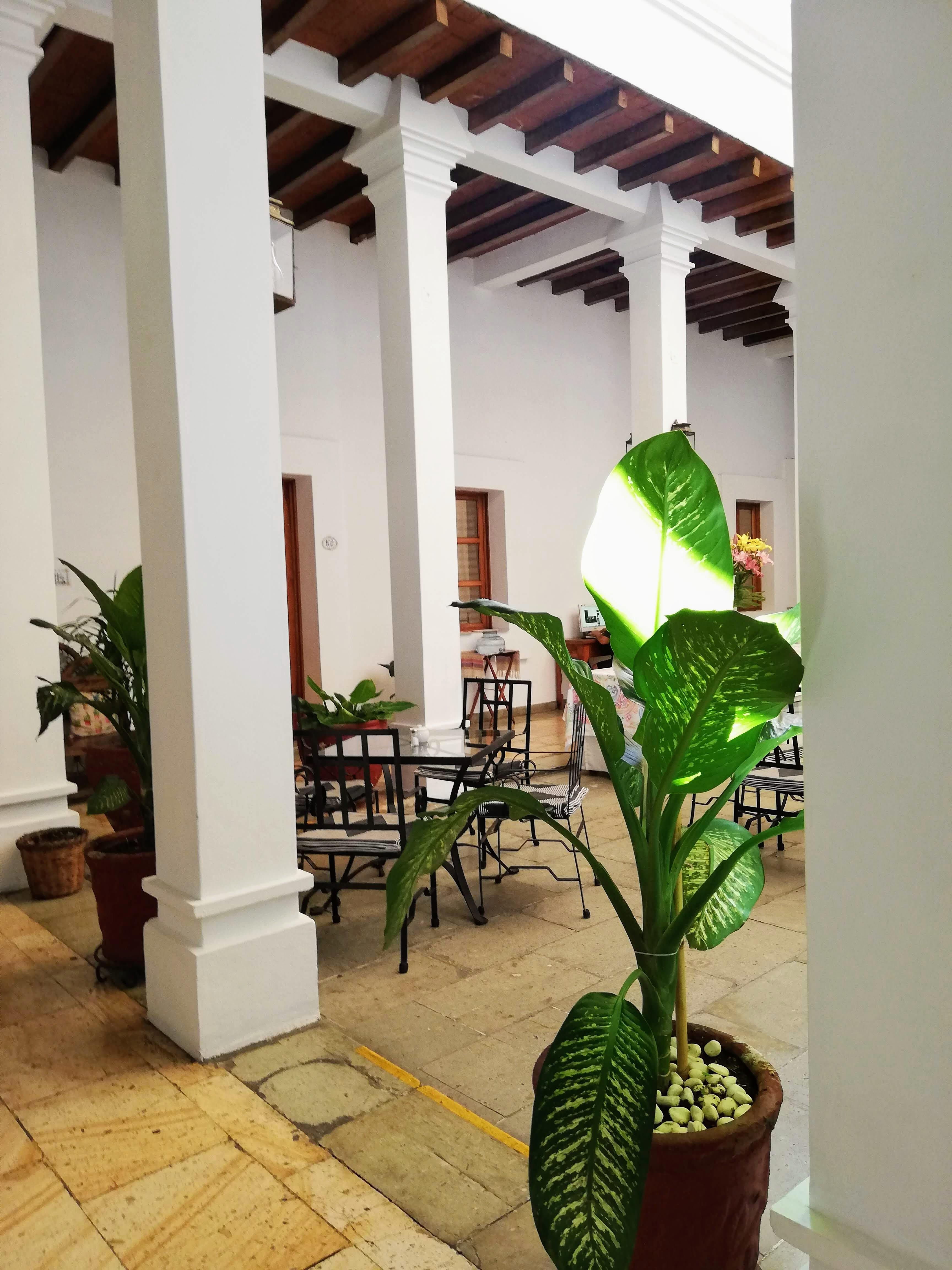 Hotel Aitana Oaxaca Екстер'єр фото